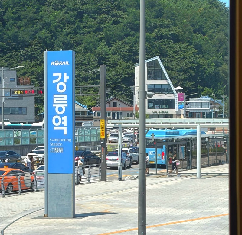 부산에서 강릉 KTX 탑승 후기｜예약 방법·소요 시간·가격·정차역 (꿀팁 있음)