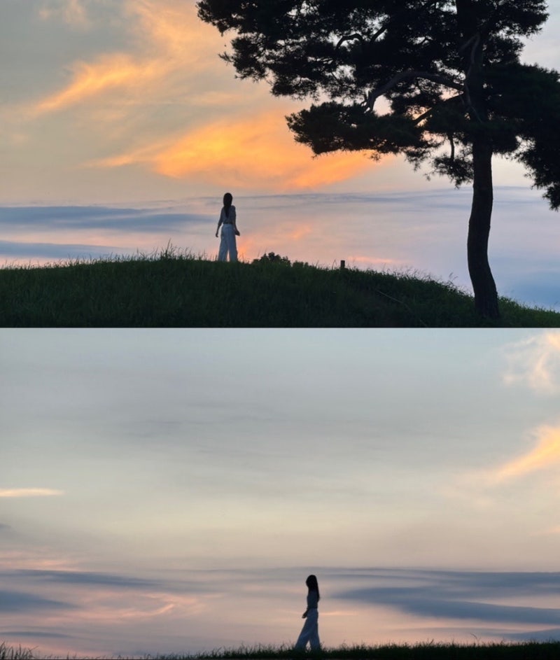 청주 가볼만한 곳&여행코스 모음zip | 정북동 토성, 국립현대미술관, 임시청사 하트나무, 청주....