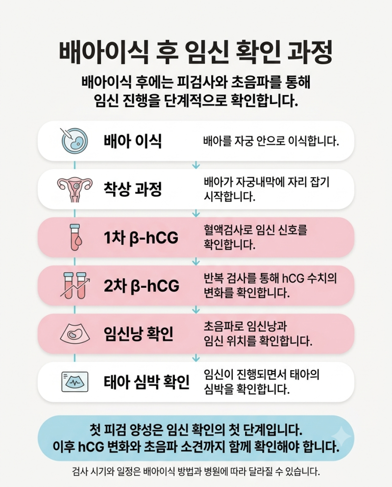 배아이식 후 피검사 수치, 몇이면 임신일까요? β-hCG 수치 보는 법과 2차 피검 해석