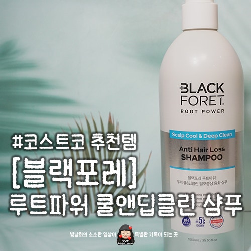 코스트코추천템 탈모샴푸추천 남편 모발관리 시작 대다모1등샴푸 사용후기