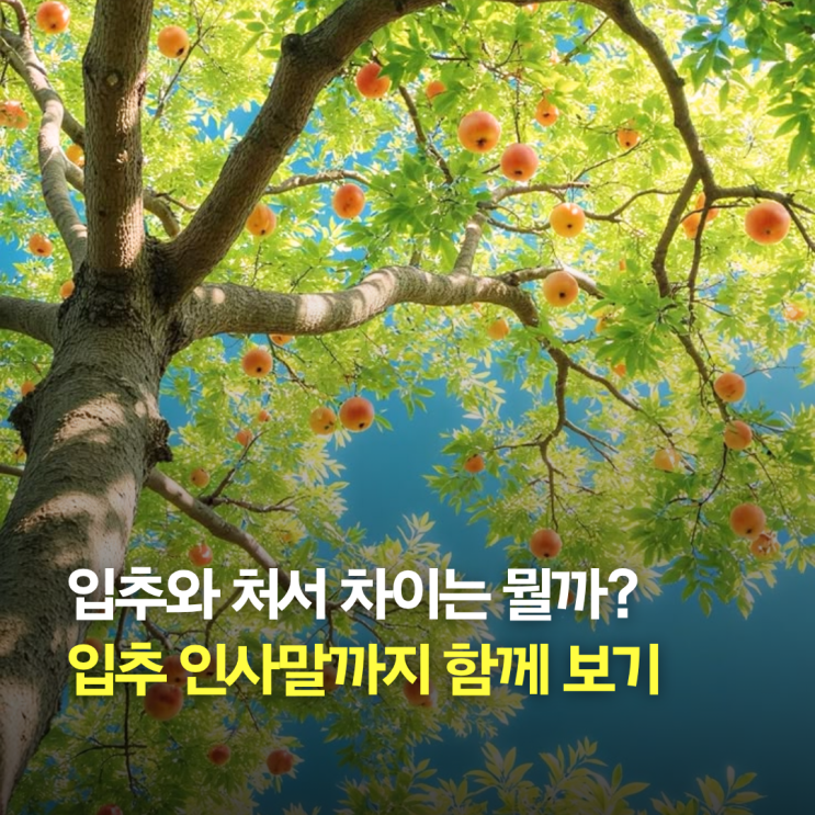 입추와 <b>처서</b> 차이는 뭘까? <b>처서</b>매직 뜻과 입추 인사말까지 정리!