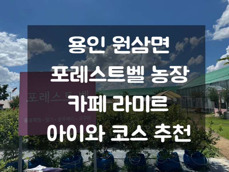 [용인 아이와 갈만한곳] 포레스트벨 농장체험 + 원삼저수지 카페 라미르