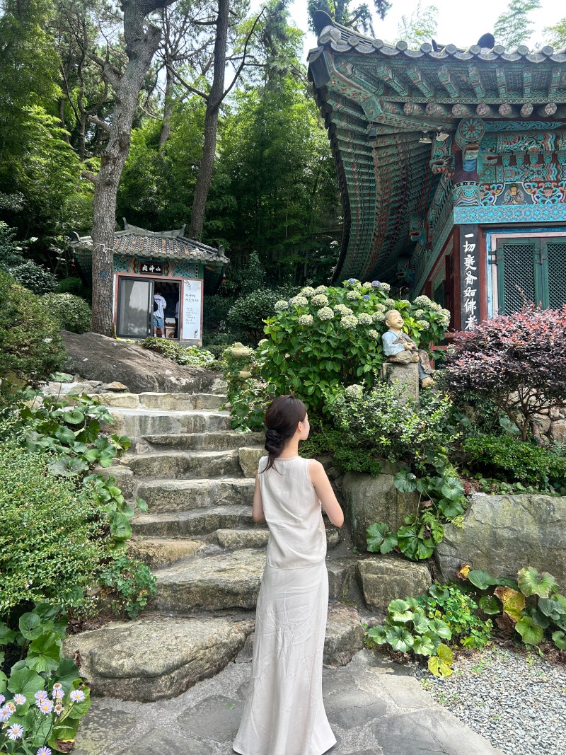 [바퀜 진공용기 후기 네고왕 내돈내산 디돌이야] 식자재 보관 기간 늘리는 방법 프로 진공기....
