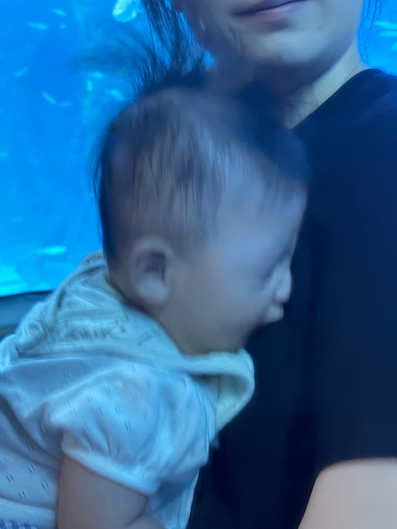帶著4個月大的寶寶去水族館（絕望篇），蠶室樂天水族館水光庭園推薦