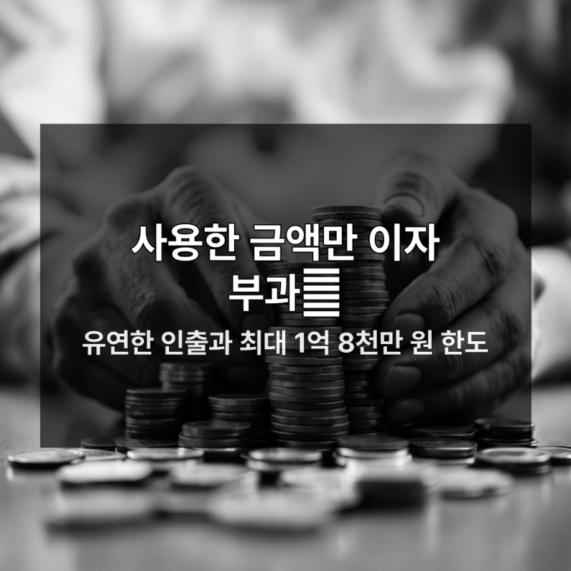 급전 필요할 때 농협 마이너스통장 지금 안 만들면 손해
