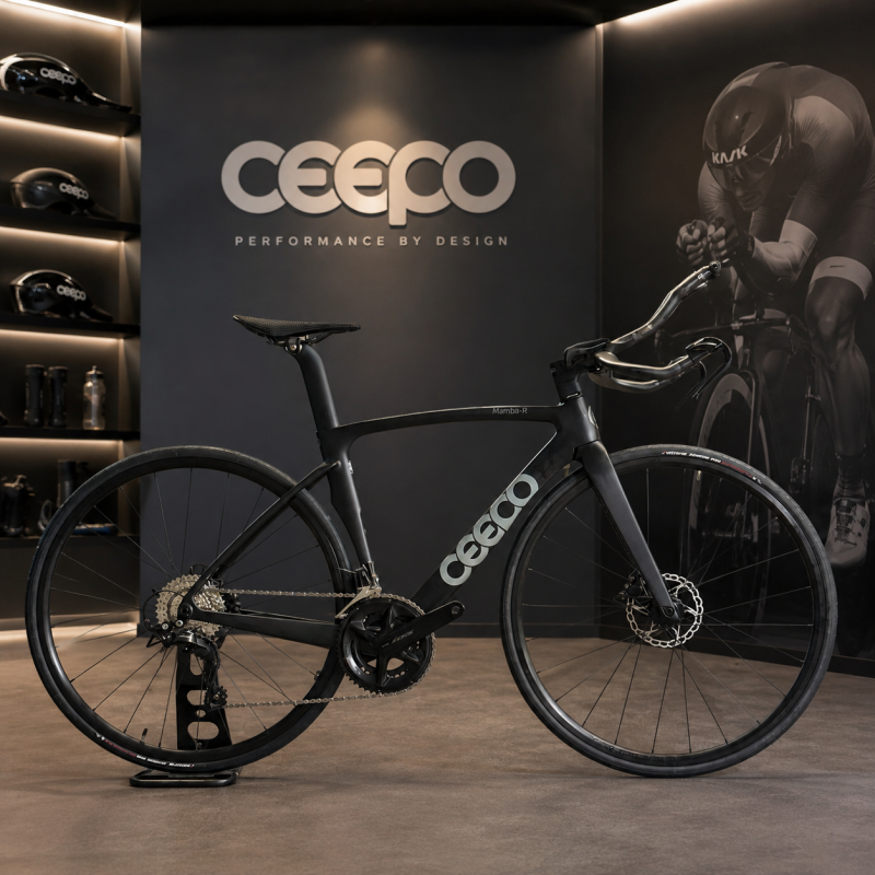 300만원대 철인 삼종 자전거, CEEPO MAMBA 105 TT 철인3종 자전거 CEEPO KOREA 베랑길자전거