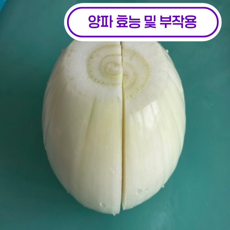 양파 효능과 부작용, 매운맛 없애는 법 총정리