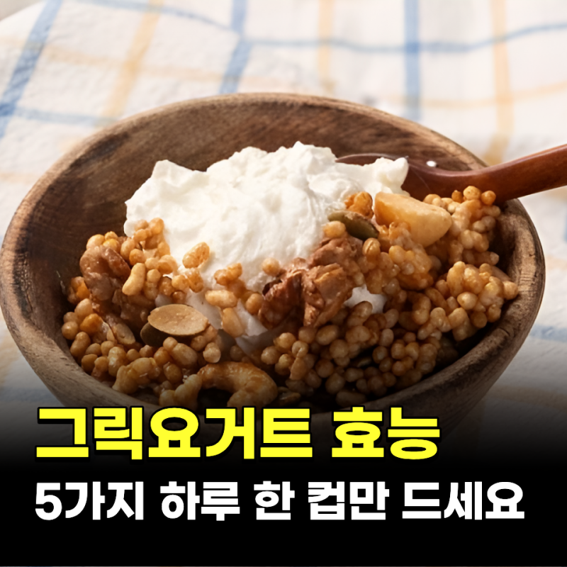 그릭요거트 효능 5가지 하루 한 컵만 드세요