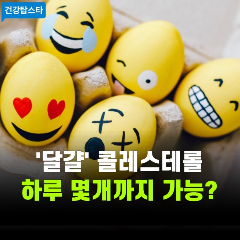 계란 노른자 콜레스테롤의 진실, 하루 몇개까지 가능?(궁합·조리법 완벽정리)
