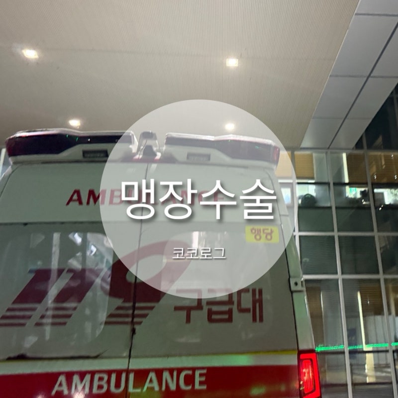 맹장수술 복강경했는데 입원기간, 비용 실화임? 회복기간 흉터는 이럼
