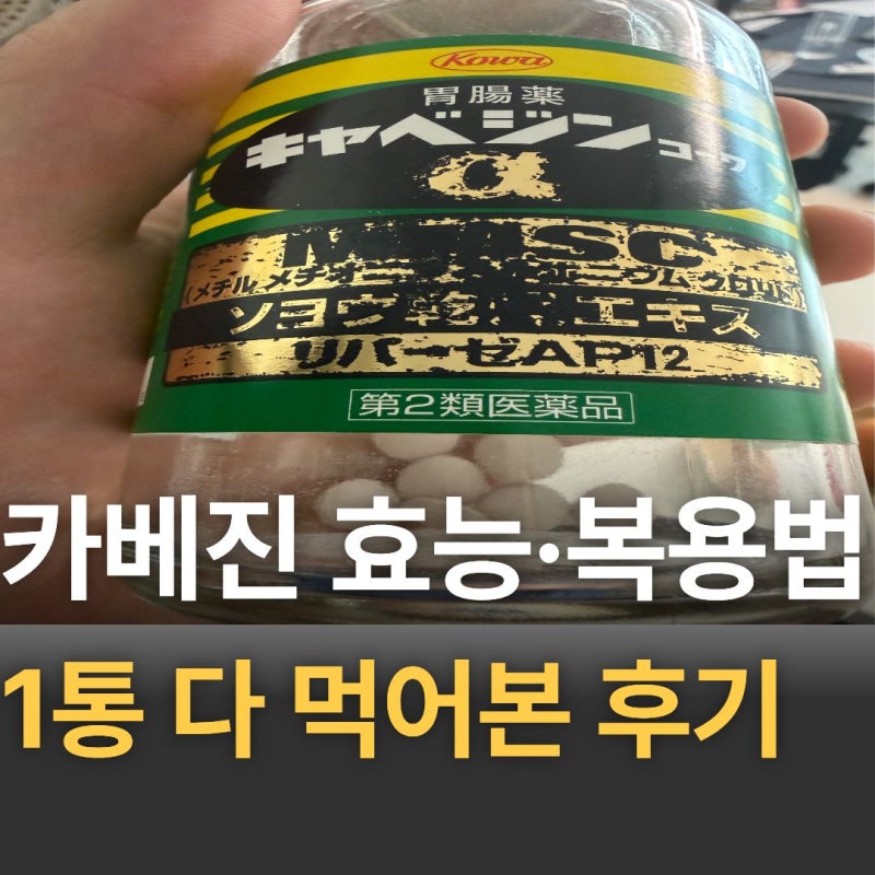 일본 카베진 효능·복용법, 1통 다 먹어본 진짜 후기