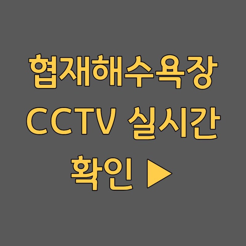 협재해수욕장 CCTV 실시간 확인 방법 주차장 정보 2026