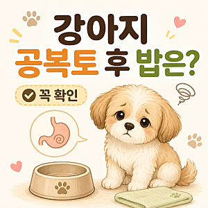 강아지 공복토 후 밥은 어떻게 해야할까? 반려견 이렇다면 꼭 확인