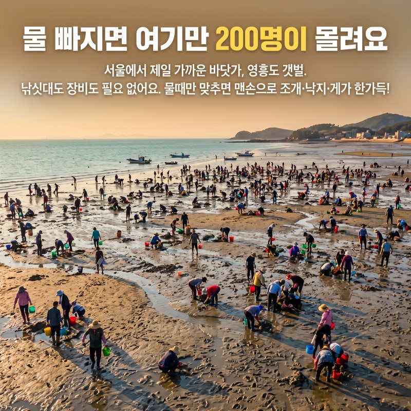 영흥도 해루질 물때만 맞추면 맨손으로 한가득