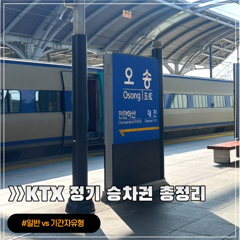 KTX 정기권 총정리 ㅣ 일반정기권 vs 기간자유형, 평일 주말 차이와 장단점