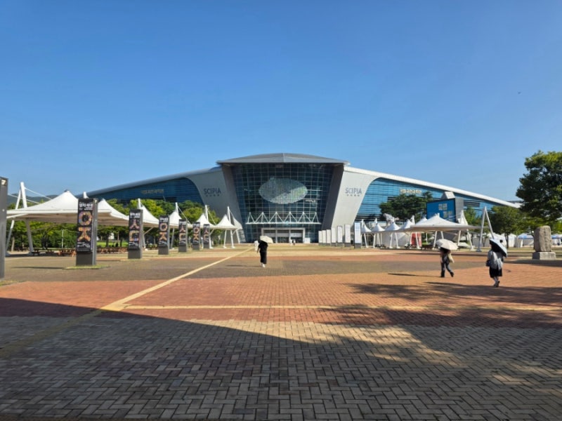 국립과천과학관 유아체험관 + 과학관 풀코스로 조카한테 점수따기 (예약방법, 추천코스)