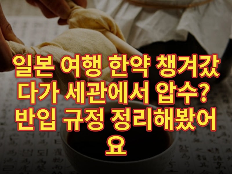 일본 여행 한약 챙겨갔다가 세관에서 압수? 반입 규정 정리해봤어요 (2025)