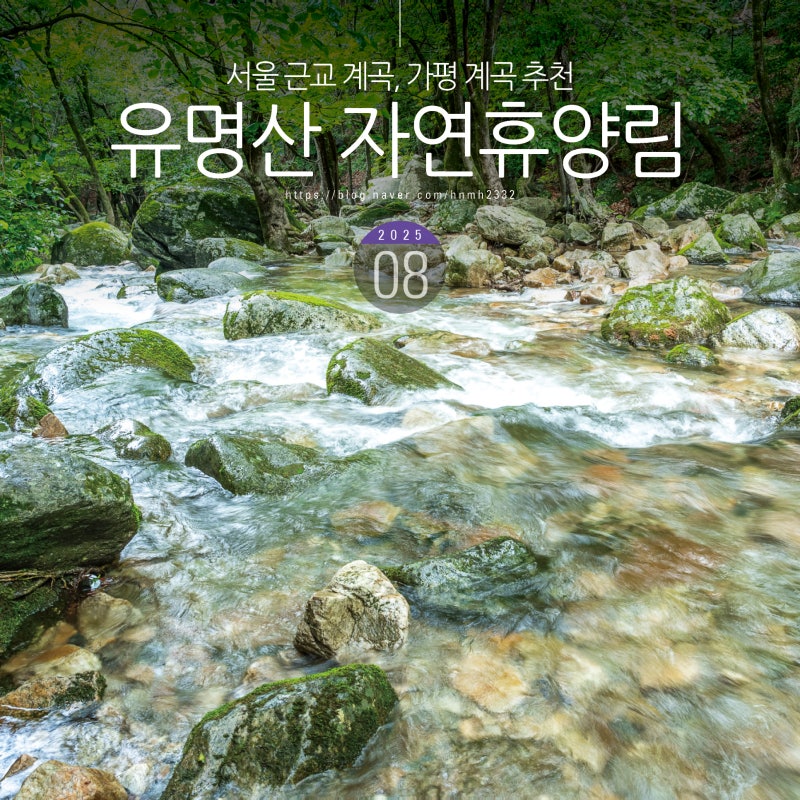 서울근교 계곡 가평 유명산 자연휴양림 가평 계곡
