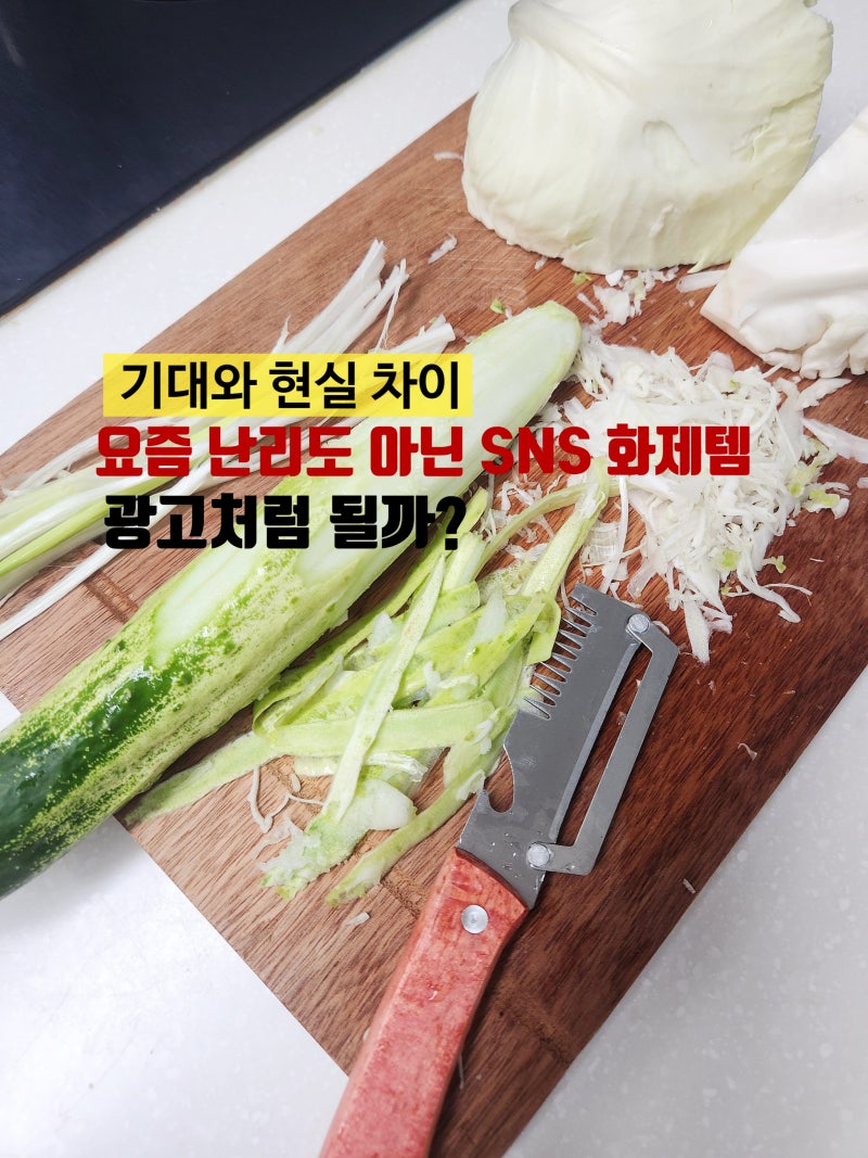 요즘 난리도 아닌 sns 화제템 독일 만능 채칼 직접 사용해본 솔직 후기!