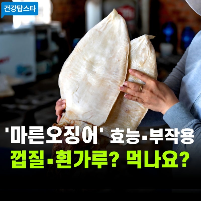 마른오징어 효능과 부작용 | 껍질 흰 가루의 정체는?
