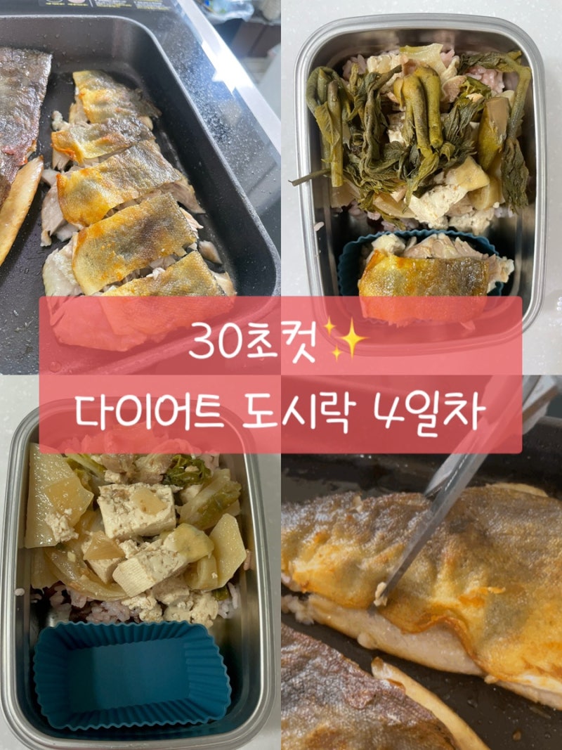 [직장인 다이어트] 30초컷 초간단 도시락 4일차 / 임연수 바삭하게 굽는법