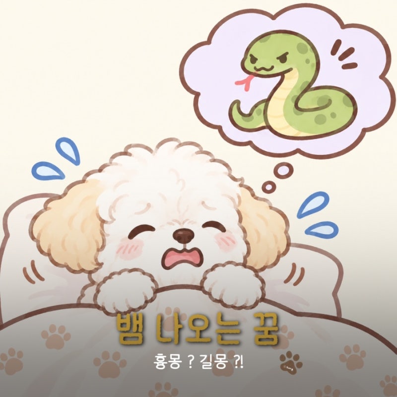 뱀 나오는 꿈, 무조건 길몽일까? 물리는 꿈 색깔별 의미