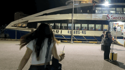 묵호항-울릉도 도동 씨스타호 후기