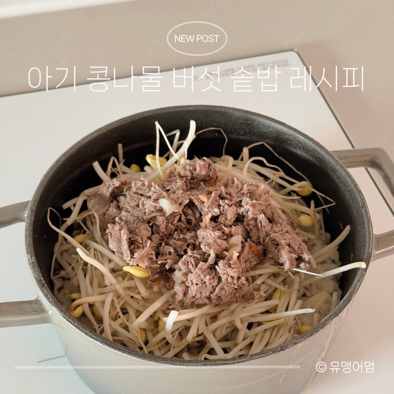 한그릇 유아식 | 아기 솥밥 레시피, 콩나물 버섯 소고기로 어른도 같이 먹어요