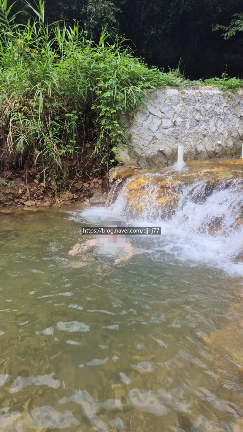 Yanggu Forest Valley Pension: A Pet-Friendly Trip to a Valley Pension in Gangwon-do