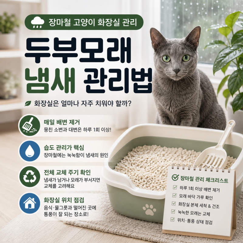 장마철 고양이 두부모래 냄새 관리법, 화장실은 얼마나 자주 치워야 할까?
