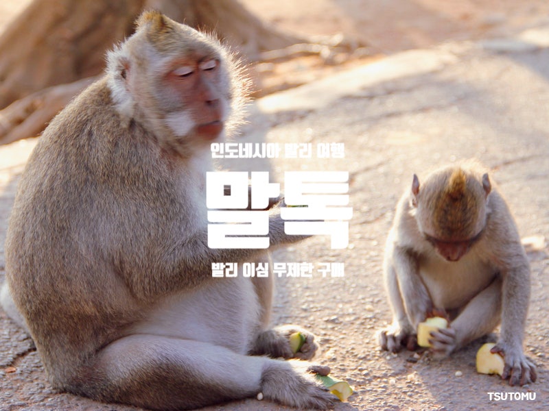 인도네시아 발리 여행 이심 구매 추천하는 발리 esim 무제한 말톡
