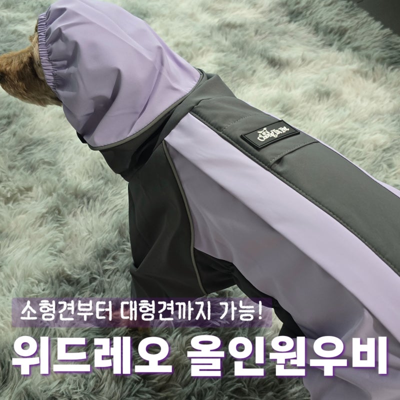 강아지 우비 추천 | 실외배변 필수품 위드레오 올인원 우비 대형견까지 가능한 비옷 솔직 착....
