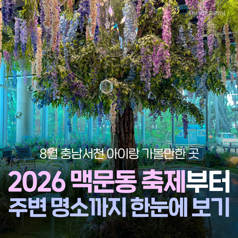 8월 충남 서천 아이와 가볼만한곳 :: 2026 맥문동 꽃축제부터 씨큐리움 전시, 장항스카이워크 ....