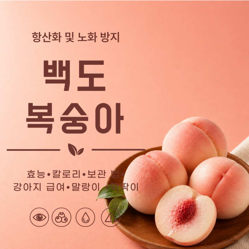 백도복숭아 효능 7가지 칼로리 말랑이 딱딱이 차이 보관 법 강아지 급여