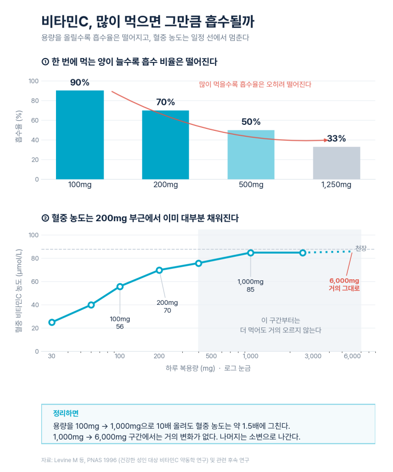 비타민C가 신장결석을 유발한다?