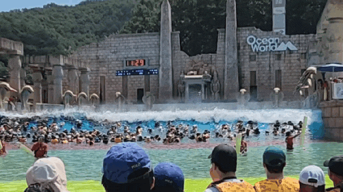 아이와 홍천 비발디파크 여름휴가｜오션월드 골드시즌 이용 후기와 꿀팁