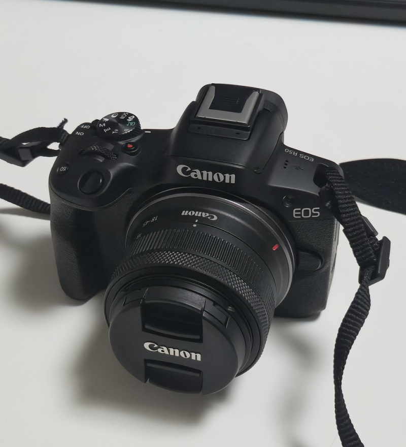 캐논 EOS R50 리뷰｜카메라 처음 사본 사람의 솔직한 입문 후기
