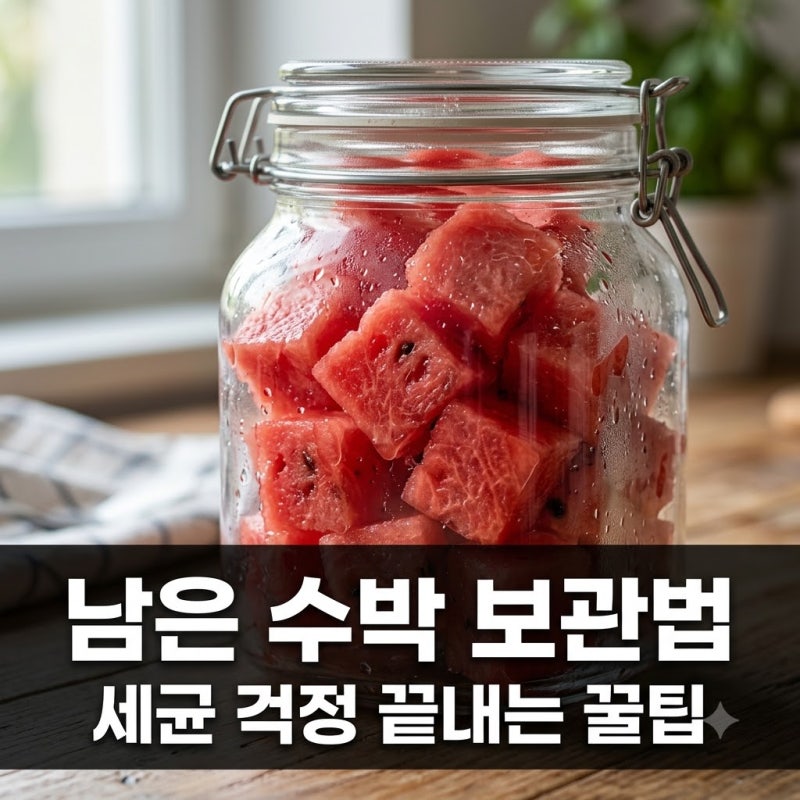 남은 수박 보관법 세균 걱정 없는 냉장 냉동 꿀팁 완벽 정리