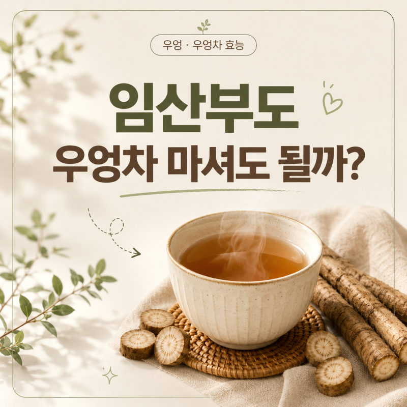 우엉 우엉차 효능, 임산부우엉차 마셔도 될지 제대로 알아보기