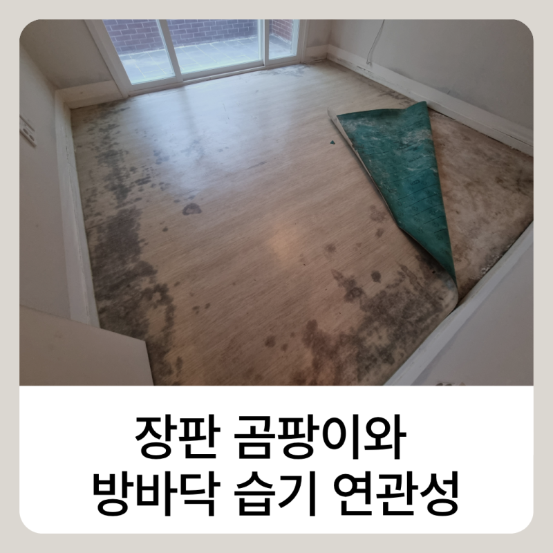 장판 곰팡이 누수가 아니라면 방바닥 습기 원인이다.