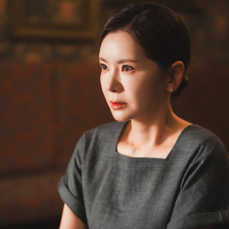 시청률 40.6% 기록한 막장의 여왕 장서희의 복귀작! 욕망의 덫 등장인물 기본정보 (일일드라마....