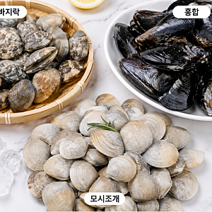 조개 해감방법 총정리｜바지락 모시조개 홍합 손질법과 영양성분 정보