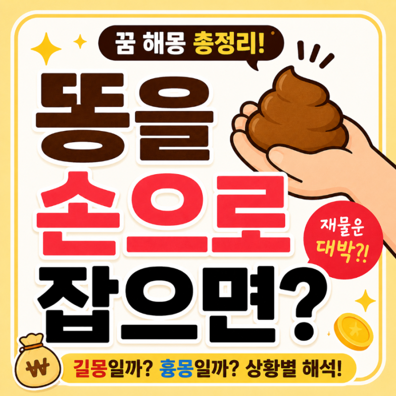 똥을 손으로 잡는 꿈 해몽(돈복 들어오는 강한 재물운 꿈일까?)