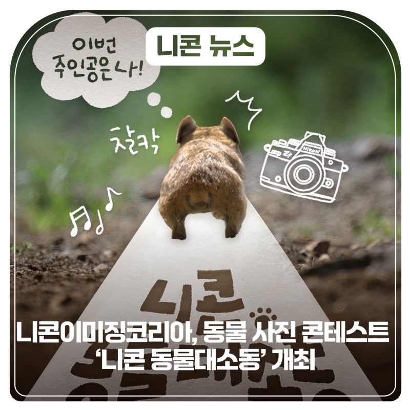 니콘이미징코리아, 동물 사진 콘테스트 ‘니콘 동물대소동’ 개최