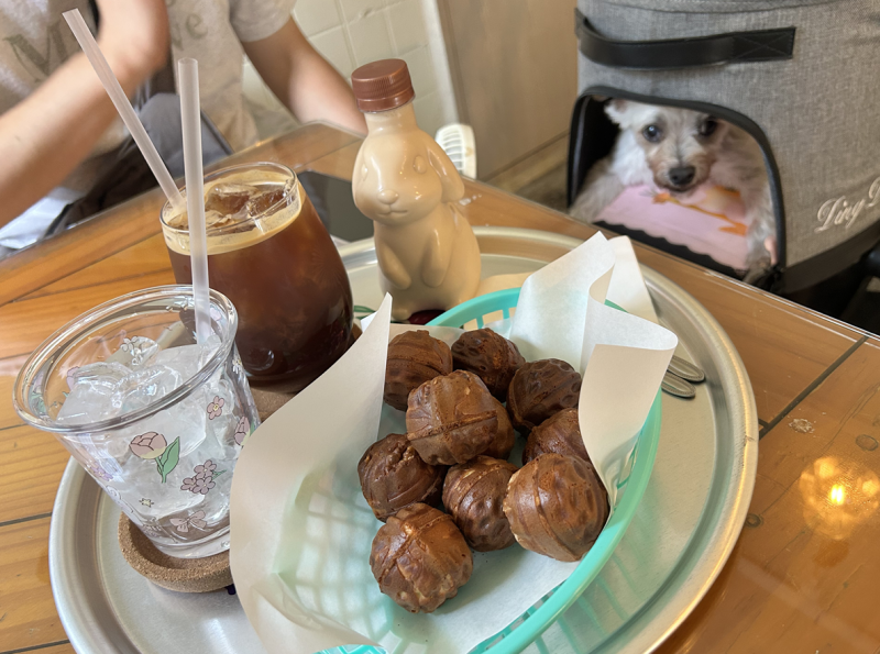 [국내여행] 강아지와 함께 하는 군산 여행 / 군산 애견동반 식당 & 카페 / 군산 애견동반 식당 ....