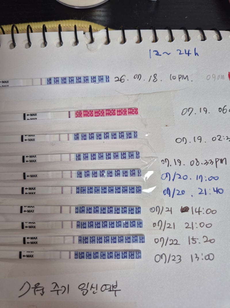 유산후 재임신/4주/피검사/아기집/임신 무증상/소파술/계류유산/배란테스트기/배테기/임테기....