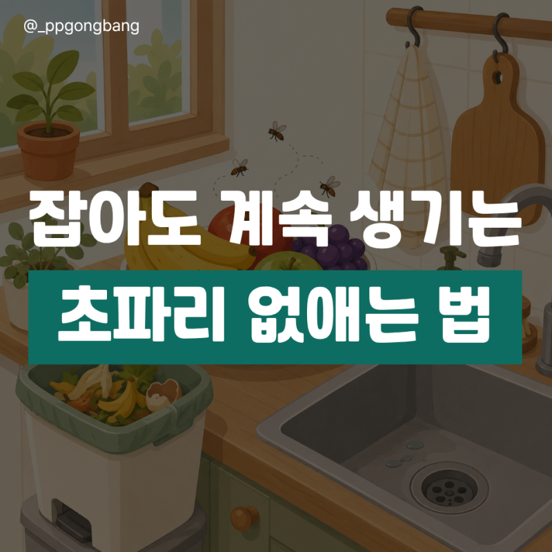 초파리 없애는 법, 잡아도 계속 생기는 이유와 확실한 퇴치 방법