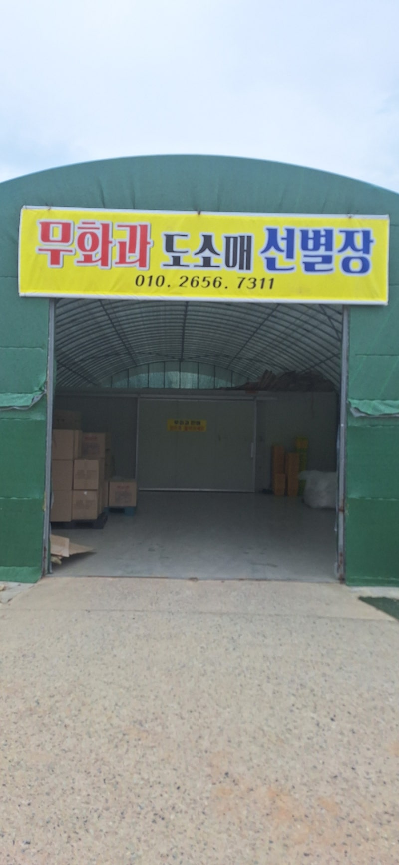 제철 맞은 달콤함, 영암 무화과 농장 직거래 방문 기