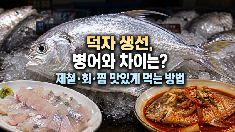 덕자 생선, 병어와 차이는? 제철·회·찜 맛있게 먹는 방법
