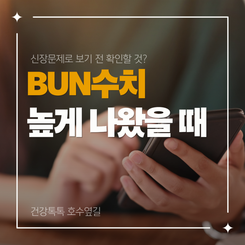 BUN수치가 높게 나왔을 때, 신장 문제라고 보기 전 확인할 것